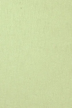 Lamellenmonster B0788