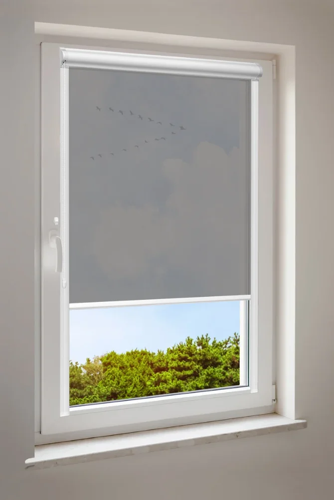 Minirolgordijn halfdoorzichtig (zonder boren)