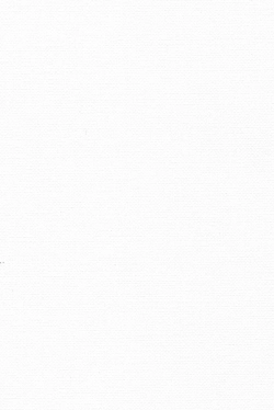 Lamellensample 1144