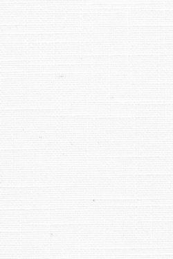 Lamellenmonster 0801