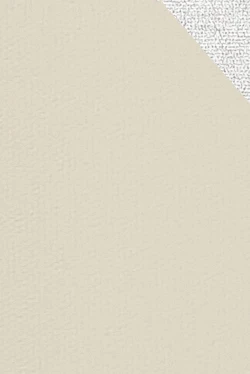 Patroon stof Beige | 3358